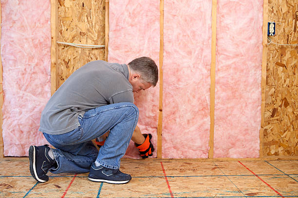 Best Crawl Space Insulation  in Harrisburg, NC